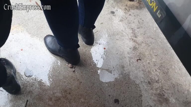 Candid Snail Crush 4