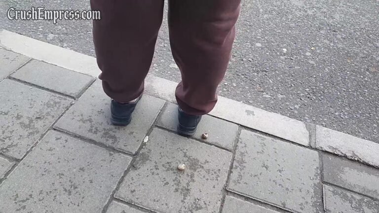 Candid Snail Crush 6