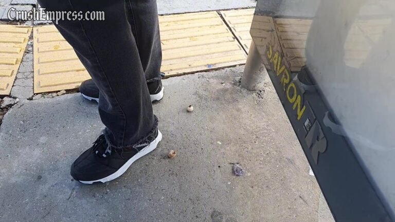 Candid Snail Crush 8